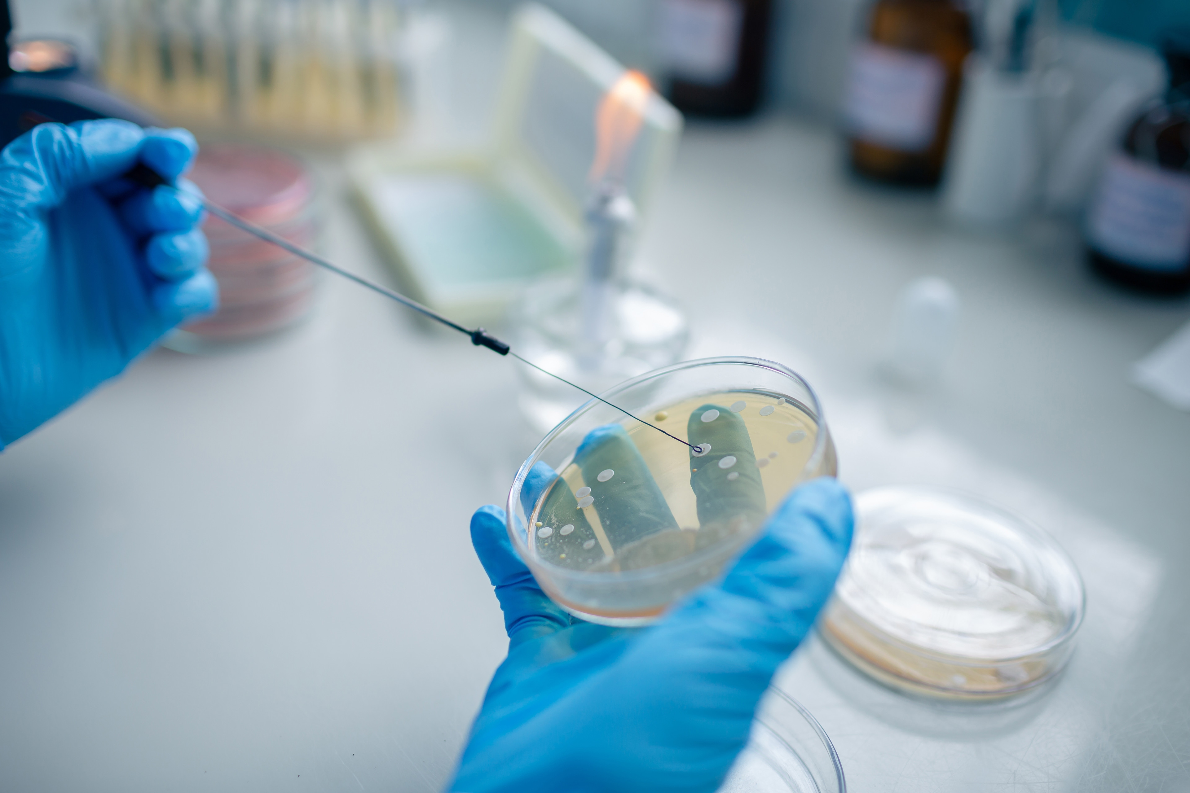 Trusted diagnostic solutions for labs worldwide