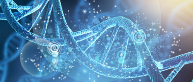 Accessories & Consumables