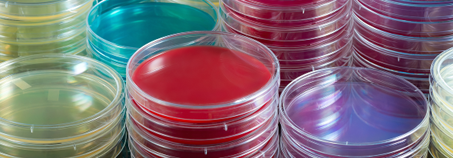 Identification & Detection