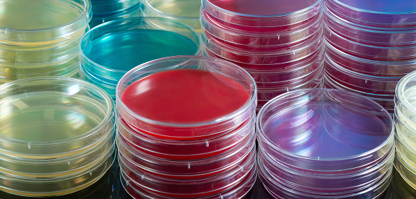 Agar plates colourful.png
